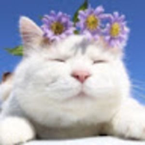 Meet your Posher, Jay